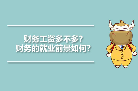 財(cái)務(wù)工資多不多？財(cái)務(wù)的就業(yè)前景如何？