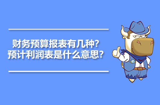 财务预算报表有几种？预计利润表是什么意思？