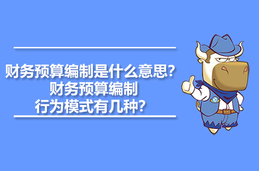 财务预算编制是什么意思？财务预算编制行为模式有几种？