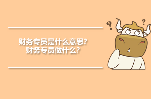 財務(wù)專員是什么意思？財務(wù)專員做什么？