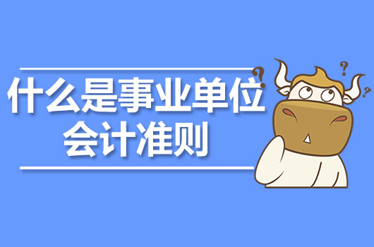 什么是事業(yè)單位會(huì)計(jì)準(zhǔn)則