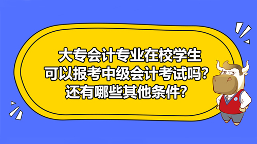 【大專會計(jì)專業(yè)在校學(xué)生可以報(bào)考中級會計(jì)考試嗎？還有哪些其他條件？】