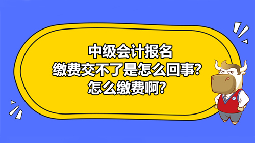 2021中級會計報名繳費交不了是怎么回事？怎么繳費啊？