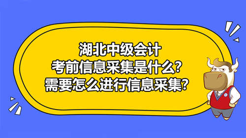 湖北2021中級會計考前信息采集是什么？湖北2021中級會計為什么需要進行信息采集？