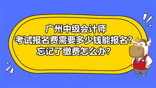 广州2021中级会计师考试报名费需要多少钱能报名？忘记了缴费怎么办？