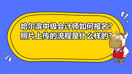 哈爾濱2021中級(jí)會(huì)計(jì)師如何報(bào)名？照片上傳的流程是什么樣的？