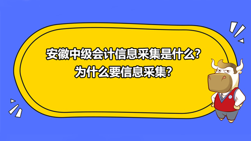 安徽2021中級會計信息采集是什么？為什么要信息采集？