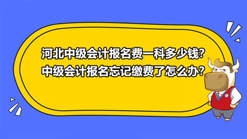 河北2021中级会计报名费一科多少钱？中级会计报名忘记缴费了怎么办？