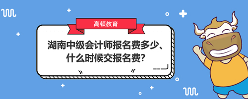 2021湖南中级会计师报名费多少、什么时候交报名费？