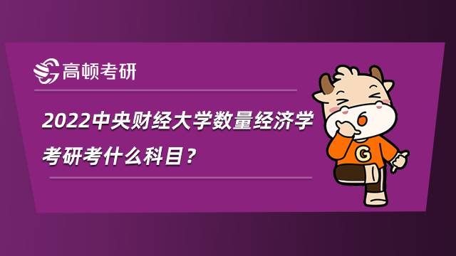 2022中央財(cái)經(jīng)大學(xué)數(shù)量經(jīng)濟(jì)學(xué)考研考什么科目？就業(yè)怎么樣
