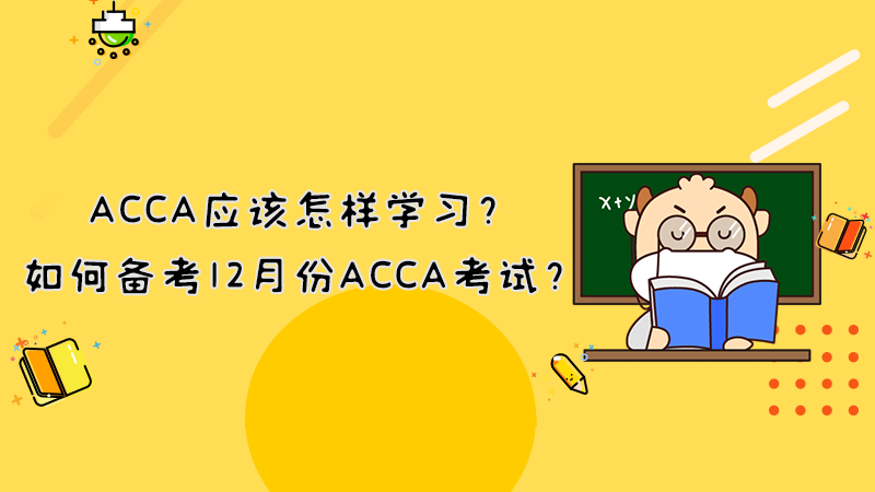ACCA应该怎样学习？如何备考12月份ACCA考试？