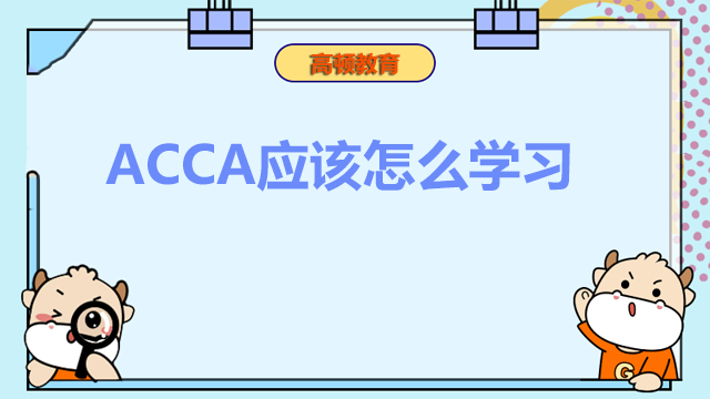 ACCA應該怎么學習?ACCA證書有什么作用?