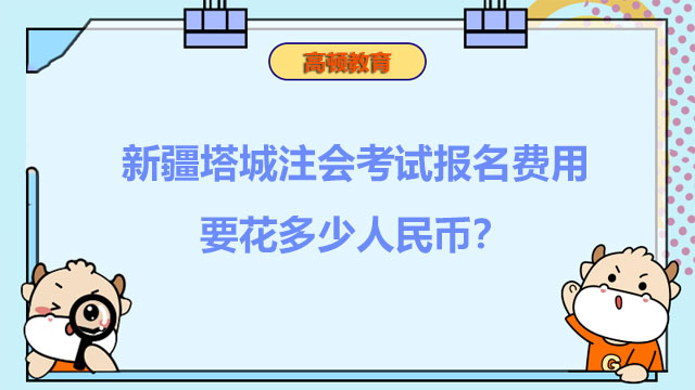 新疆塔城注会考试报名费用要花多少人民币？