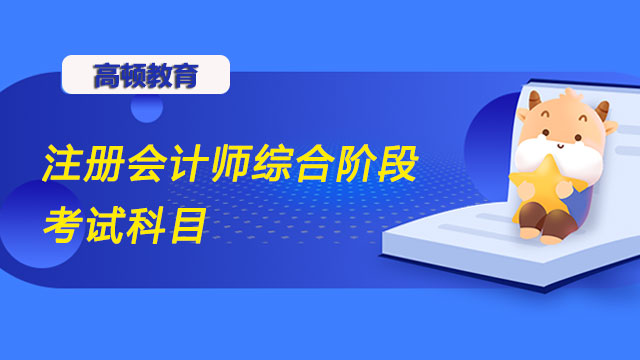 注冊會計師綜合階段考試科目