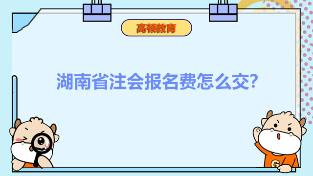 湖南省注会报名费怎么交？