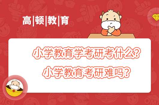 小学教育学考研考什么