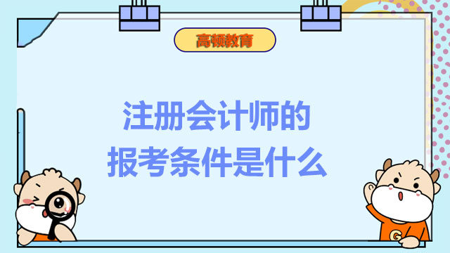 注册会计师的报考条件是什么