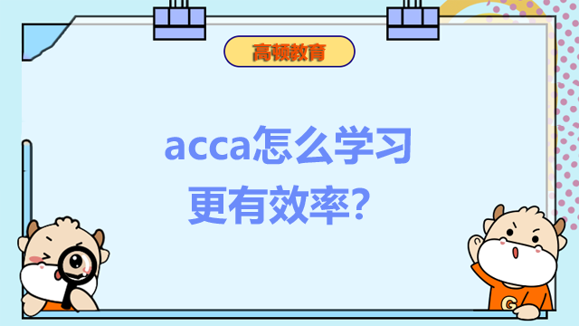 acca怎么学习更有效率？