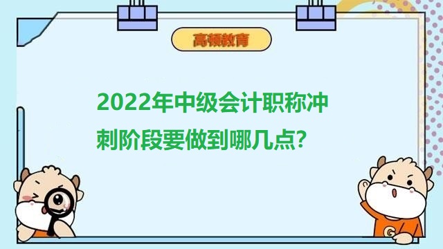 中級(jí)會(huì)計(jì)備考要多久,中級(jí)會(huì)計(jì)職稱備考,中級(jí)財(cái)務(wù)管理真題解析