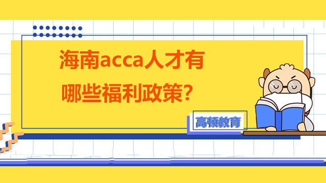 海南acca人才有哪些福利政策？