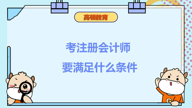  考注册会计师要满足什么条件