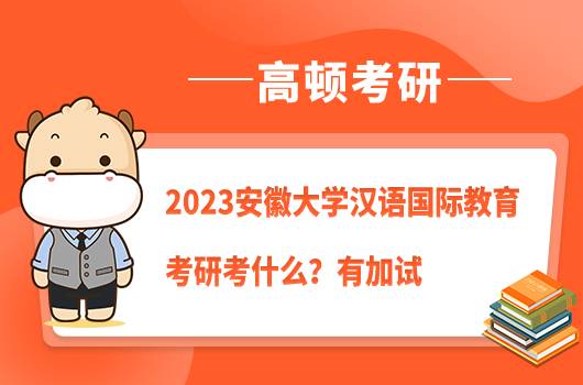 2023安徽大学汉语国际教育考研考什么