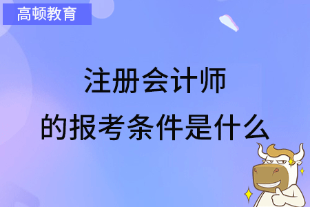 注册会计师的报考条件是什么