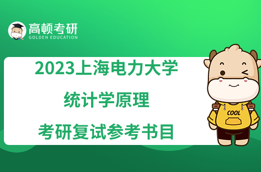 2023上海电力大学F034统计学原理考研复试参考书目