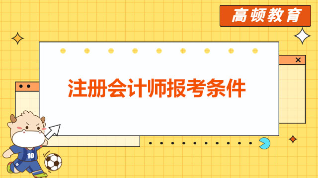 注册会计师报考条件