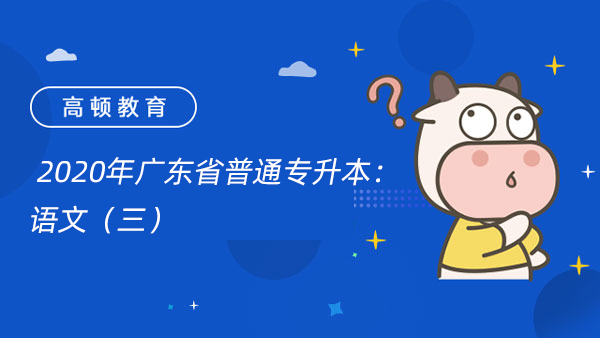  2020年广东省普通专升本：语文（三）