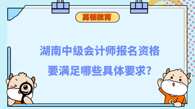 中级会计师报名资格