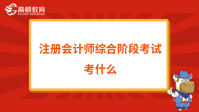 注冊會計師綜合階段考試考什么