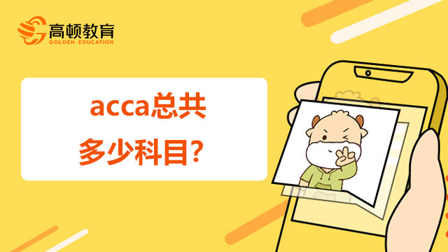 acca总共多少科目？