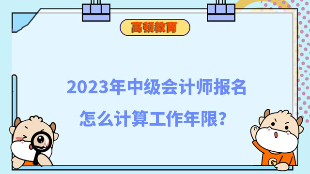 中级会计师报名