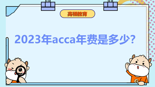 2023年acca年費是多少？