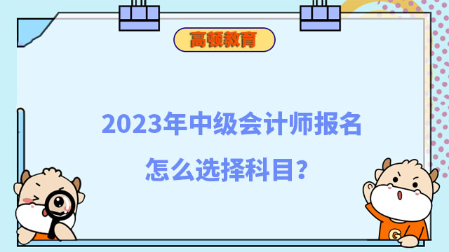 中级会计师报名