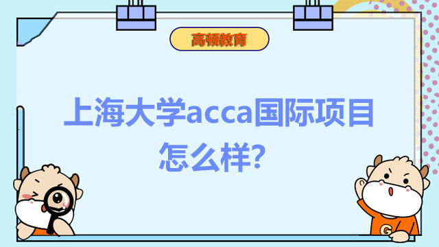 上海大学acca国际项目怎么样？就业率高吗？