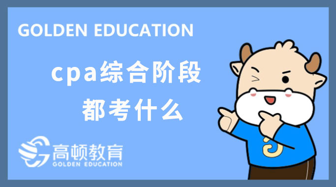 cpa綜合階段考試都考什么