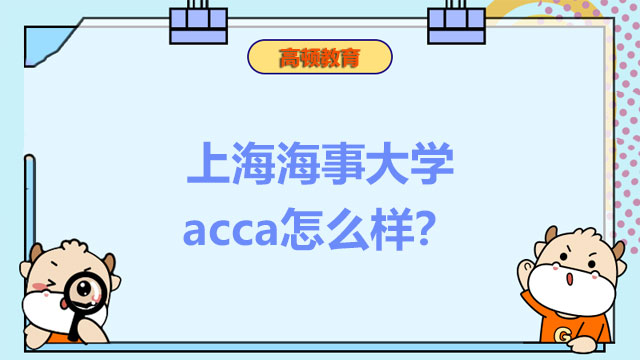 上海海事大学acca怎么样？