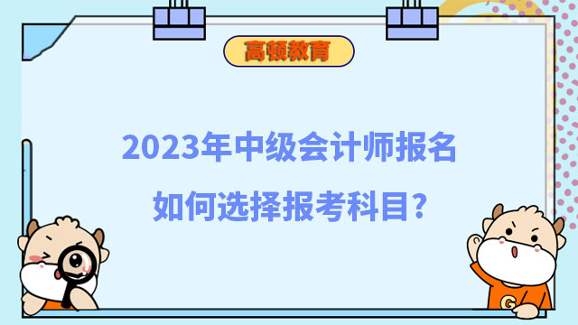 中级会计师报名