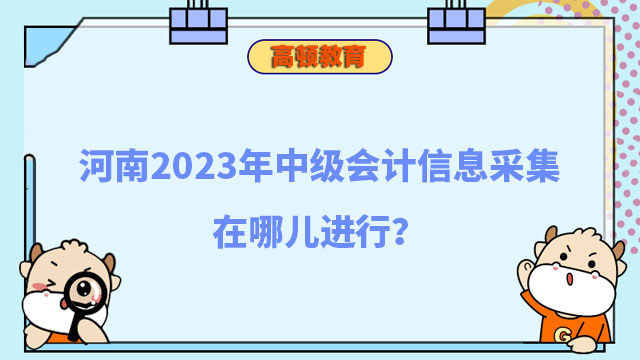 中级会计信息采集