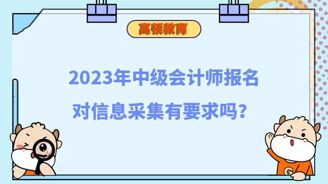 中级会计师报名