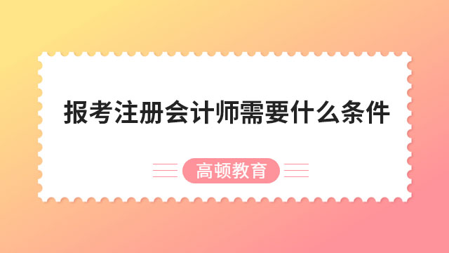 报考注册会计师需要什么条件