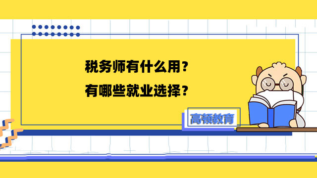 税务师有什么用？有哪些就业选择？