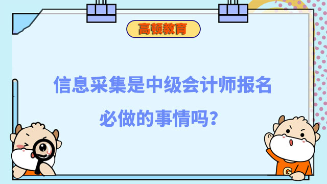 中级会计师报名