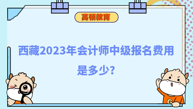 会计师中级报名费用