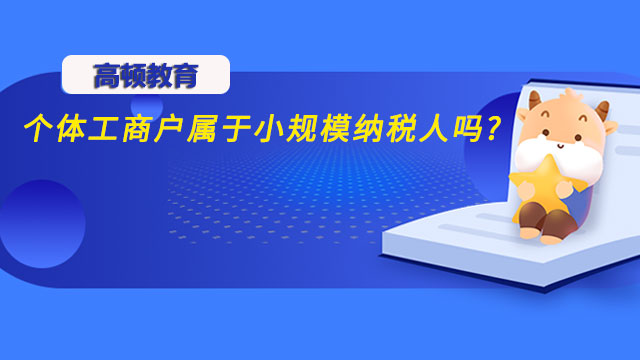 个体工商户属于小规模纳税人吗?