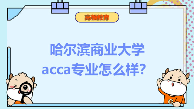 哈尔滨商业大学acca专业怎么样？值得读吗？