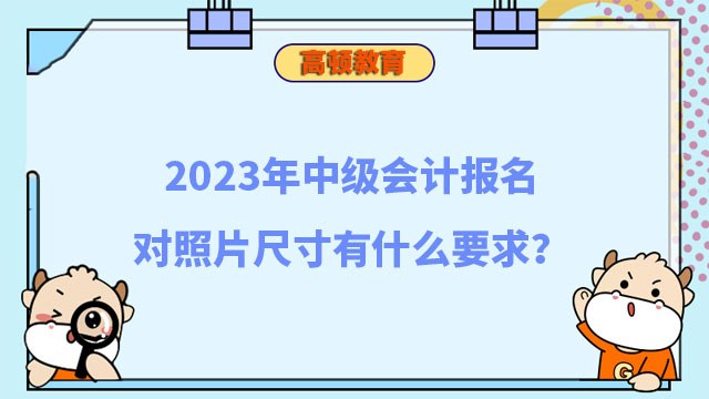 中级会计报名