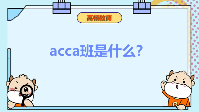 acca班是什么？